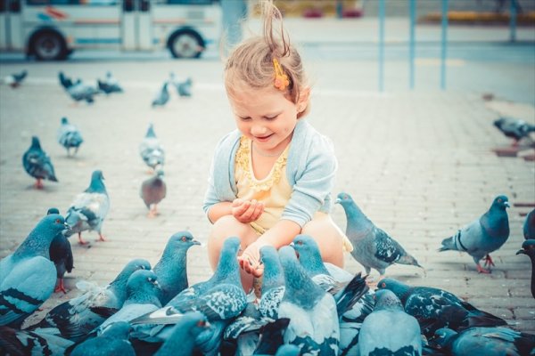 Девочка кормит голубей