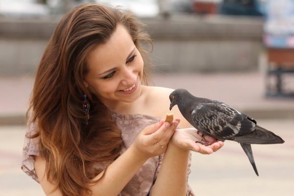 Девушка с голубем