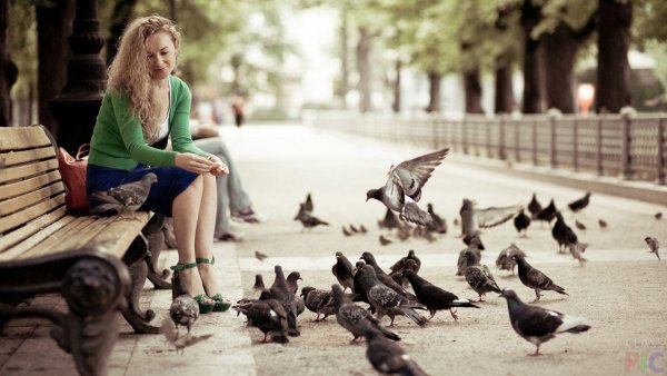 Девушка кормит голубей в парке