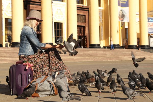 Дама с голубями