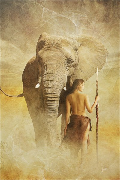 Девушка на слоне