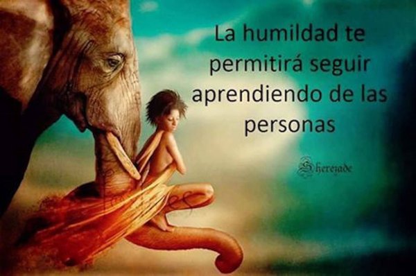 Девушка и слон арт