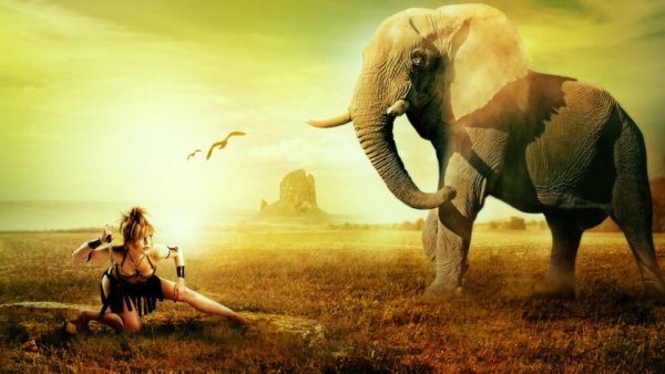 Фон со слонами