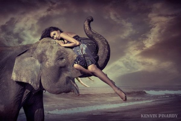Девушка на слоне