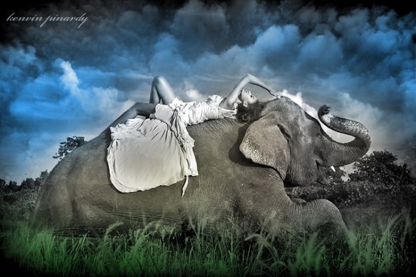 Фотомодель со слонами