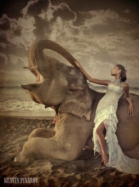 Женщина на слоне