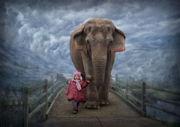 Слон для детей