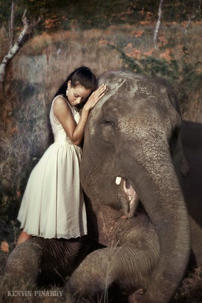 Девочка обнимает слона