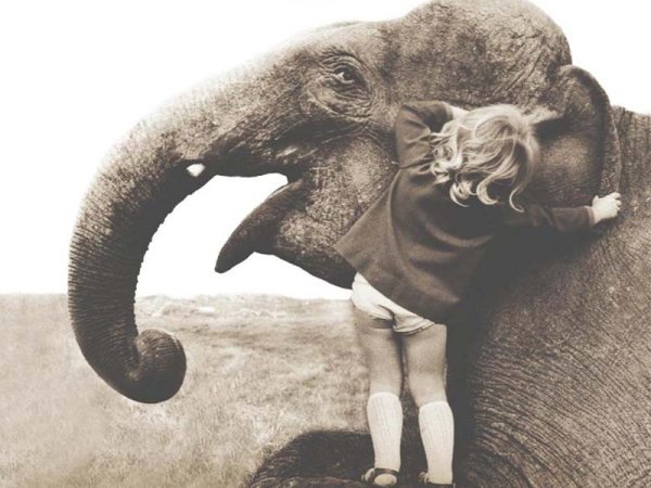 Слоник девочка