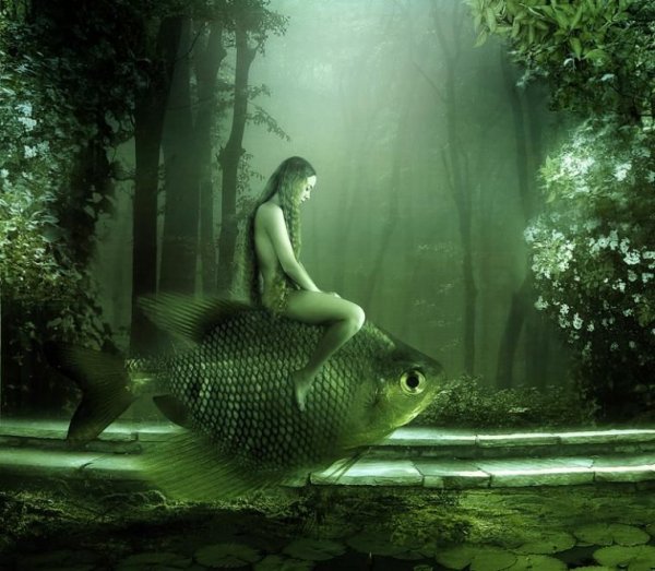 Амандина Ван Рэй