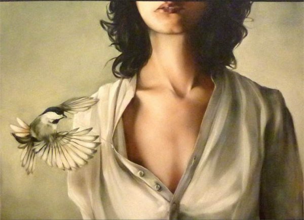 Птицы Эми Джадд