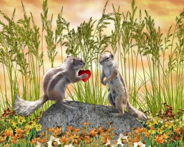 Бобер с цветами