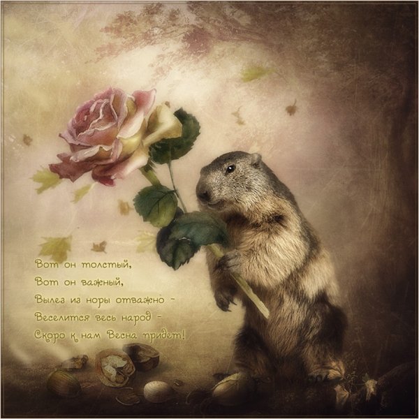Суслики в живописи маслом
