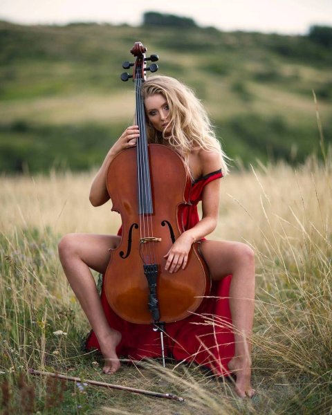 Урмаев виолончелистка картина