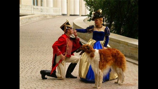 Гусар на колене