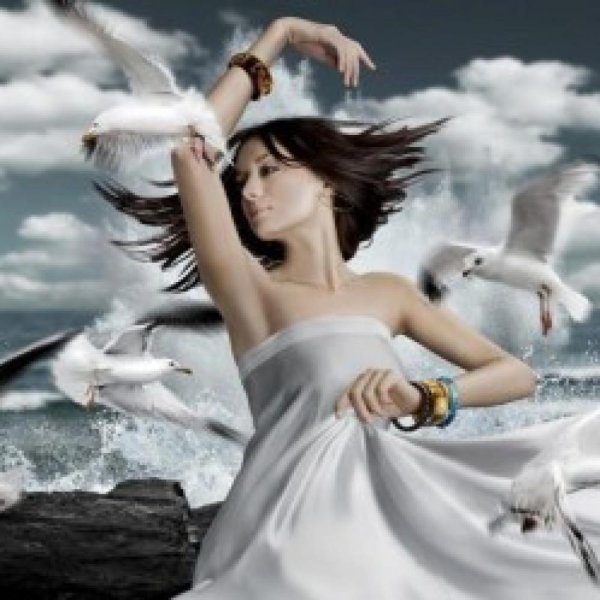 Девушка и Чайки