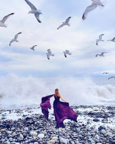 Фотосессия с чайками