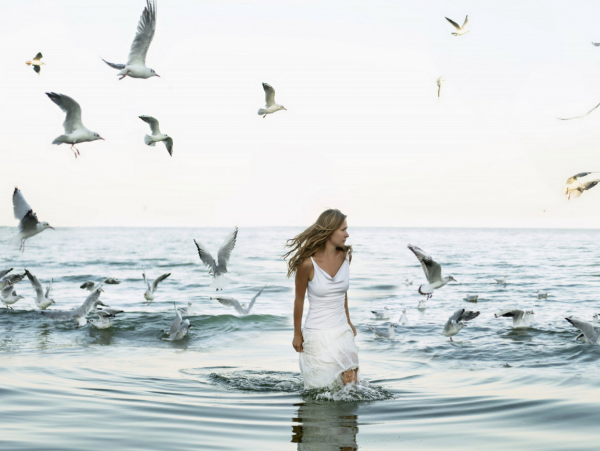Девушка море Чайки