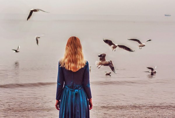 Море птицы девушка