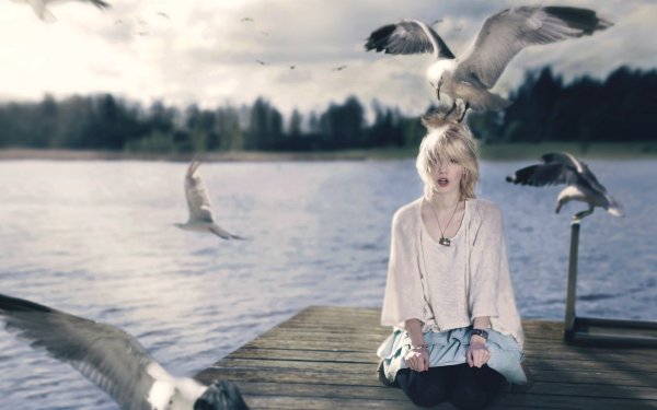 Девушка и Чайки