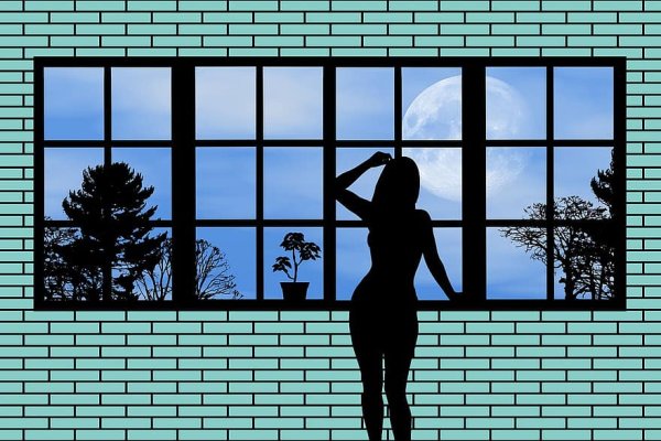 Силуэт девушки в шляпе