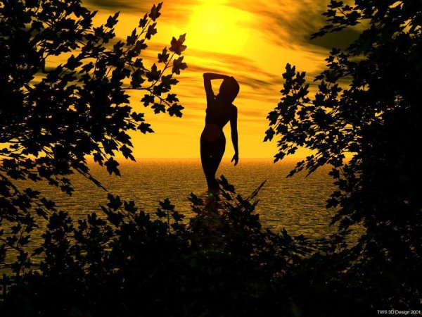 Красивый женский силуэт