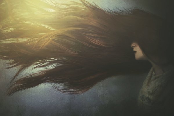 William Whitaker художник