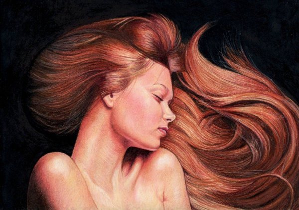 Волосы картина