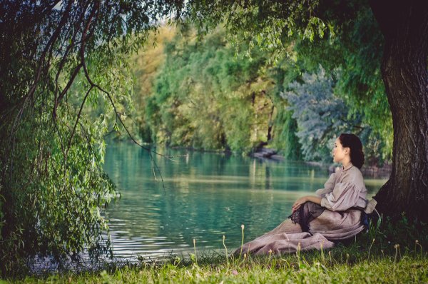 Художник Людвиг Тирш.картины