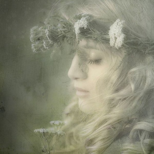 Ханс Хейердал(1857-1913)