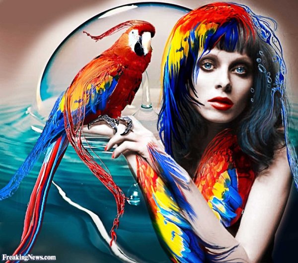 Девушка и попугай