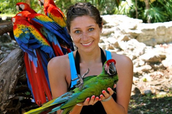 Девушка и попугай