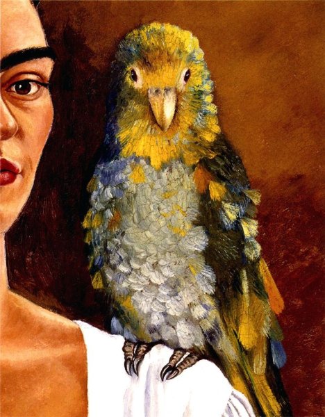 Фрида Кало автопортрет с попугаем
