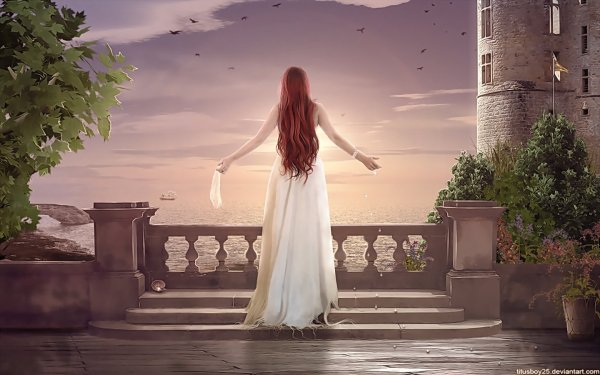 Девушка в замке