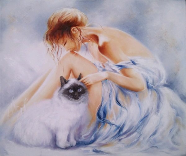 Виллем Хаенрайтс картины с кошкой