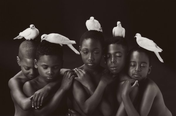 Андре Кох картины