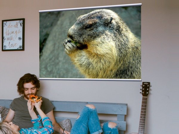 Жан Батист Камиль коро портрет девушки