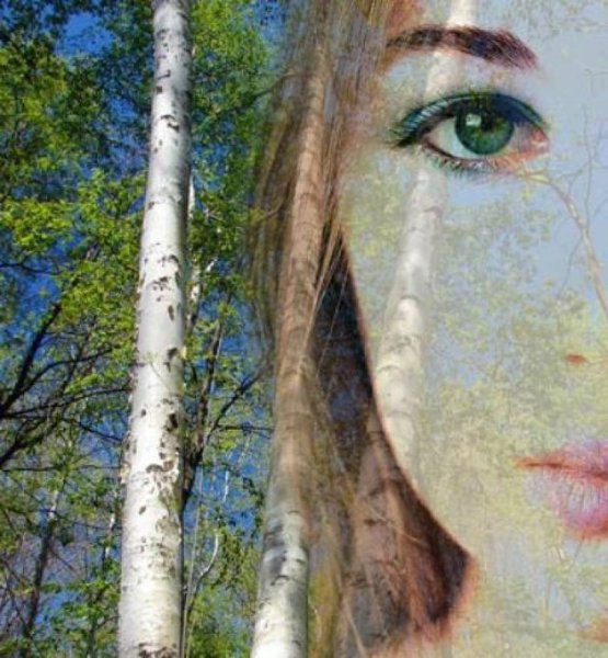 Славянские художники Николай Фомин