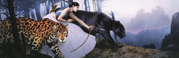 Тран Нгуен (Tran Nguyen) картины