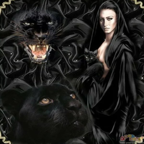 Картина женщина с пантерой