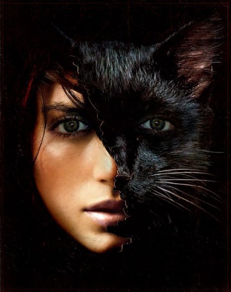 Кристина Кошкина