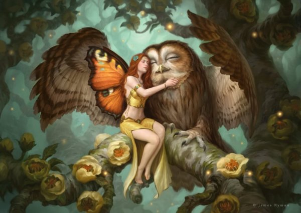 Девушка с совой фэнтези