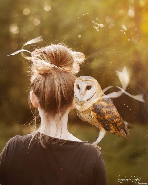 Женщина с совой картина