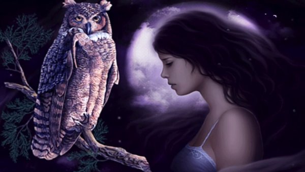 Доброй ночи Филин