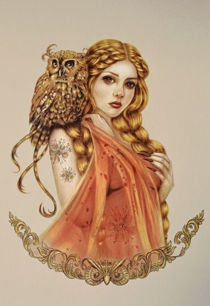 Сова волшебница