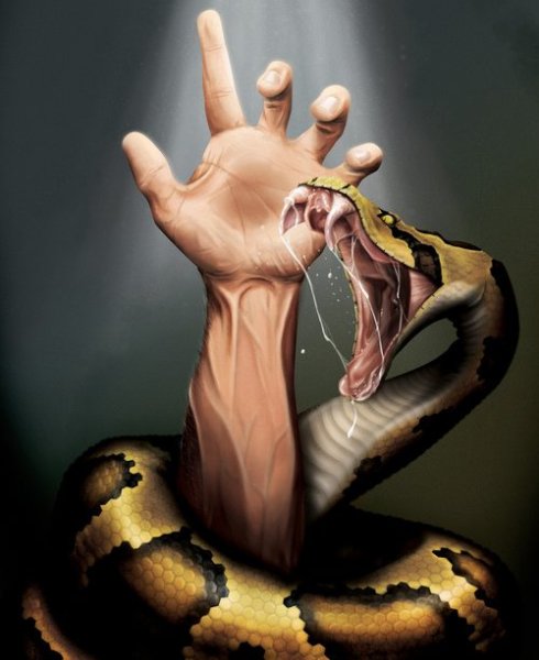 Змея обвивает человека