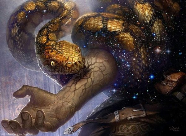 При укусе ядовитой змеи: