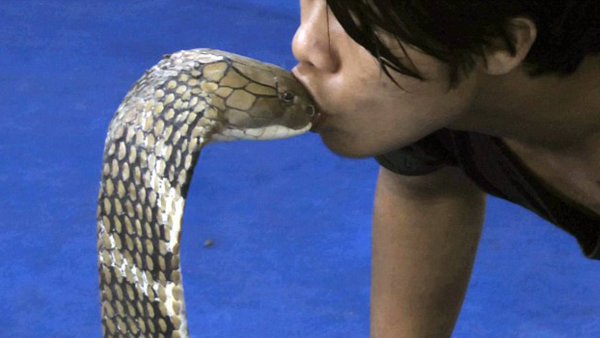 Мужчина змея арт