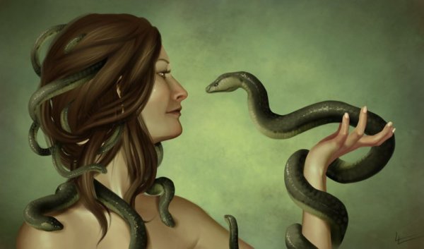 Змея заползла в кровать