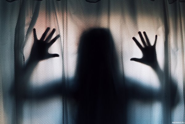 Тень девушки